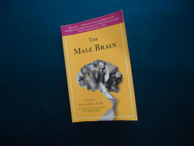 The Male Brain By Louann Brizendine